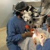 26Operating Trab